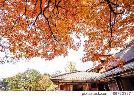 京都資仙堂、京都的紅葉名勝、資仙堂定山寺、紅葉和日本庭園、京都觀光景點 89720557