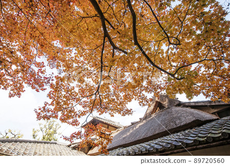 京都資仙堂、京都的紅葉名勝、資仙堂定山寺、紅葉和日本庭園、京都觀光景點 89720560