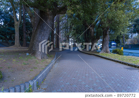 Promenade in the city center park Promenade in the city center park 89720772