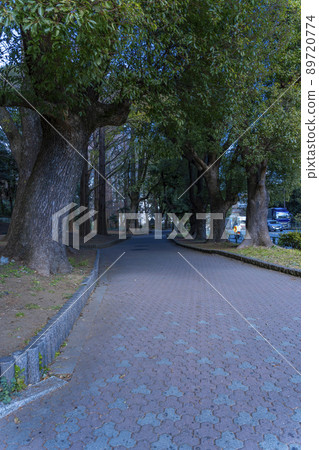 Promenade in the city center park Promenade in the city center park 89720774