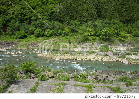 State of Shogawa near Shogawa-Goguchi Dam State of Shogawa near Shogawa-Goguchi Dam 89721572
