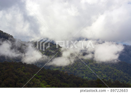 Beautiful top view of green forest and foggy mountain. Beautiful top view of green forest and foggy mountain. 89722683