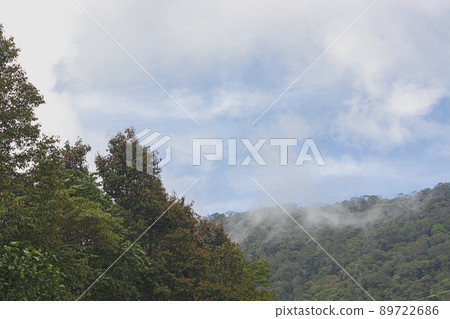 Beautiful top view of green forest and foggy mountain. 89722686