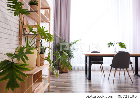 Stylish room interior with green plants. Home decoration Stylish room interior with green plants. Home decoration 89723199