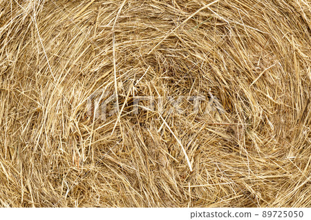 Dry grass straw background texture, Natural of dry straw and hay. Dry grass straw background texture, Natural of dry straw and hay. 89725050