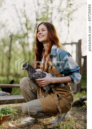 A woman with a smile takes care of the health of a chicken and holds a chicken in her hands while working on a farm in nature feeding the birds organic food A woman with a smile takes care of the health of a chicken and holds a chicken in her hands while working on a farm in nature feeding the birds organic food 89726666