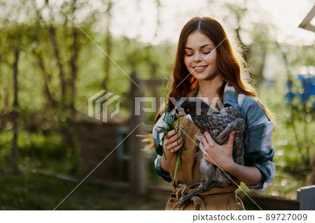 A beautiful woman farmer takes care of the chickens on her farm and holds a gray chicken smiling. The concept of organic life and caring for nature 89727009
