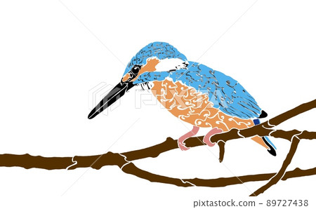 A kingfisher that sticks to a tree branch A kingfisher that sticks to a tree branch 89727438