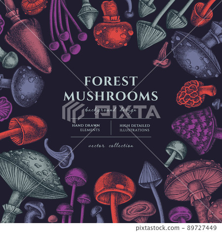 Forest mushrooms hand drawn illustration design. Background with vintage mushrooms, fly agaric 89727449