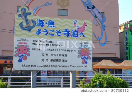 Landscape of Teradomari 89730512