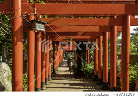 Tamura Shrine Kitasando, Takamatsu City, Kagawa Prefecture Tamura Shrine Kitasando, Takamatsu City, Kagawa Prefecture 89731299