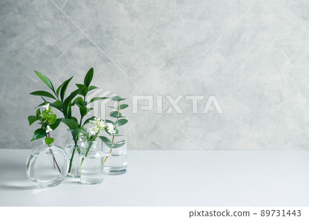 Simple plant background material Simple plant background material 89731443