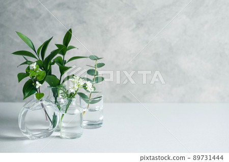 Simple plant background material Simple plant background material 89731444