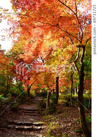 Autumn leaves at Nakano Tei Museum (Niigata Prefecture) 89731725