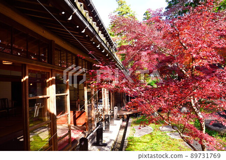 中野亭博物館（新潟縣）的紅葉 89731769