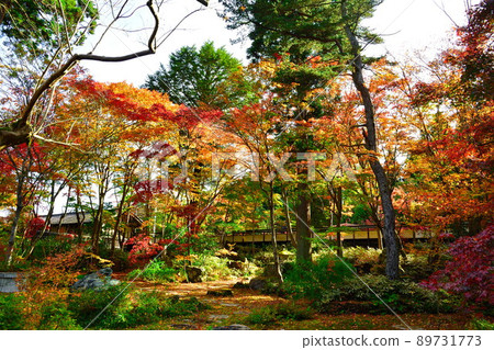 中野亭博物館（新潟縣）的紅葉 89731773