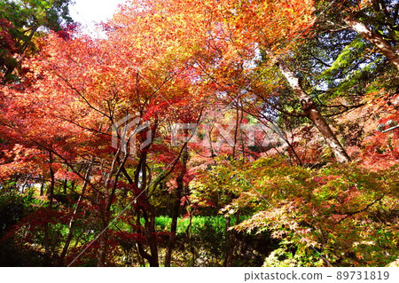 Autumn leaves at Nakano Tei Museum (Niigata Prefecture) 89731819