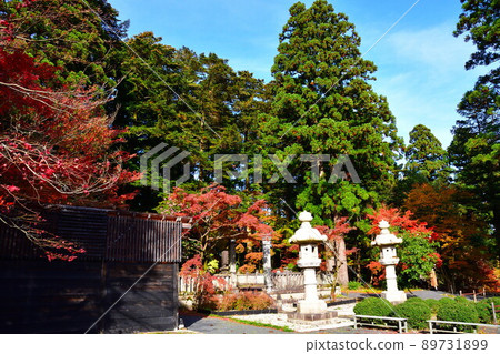 中野亭博物館（新潟縣）的紅葉 89731899