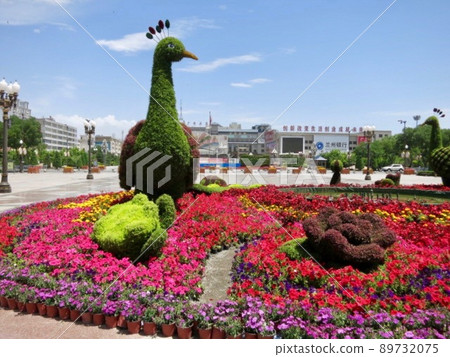 中國絲綢之路花公仔孔雀 89732075