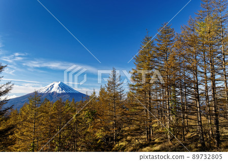 在三峠看落葉松和富士山的黃葉 在三峠看落葉松和富士山的黃葉 89732805