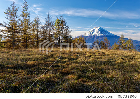 在三峠看落葉松和富士山的黃葉 89732806