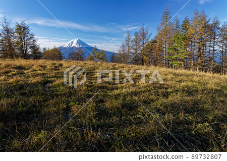 在三峠看落葉松和富士山的黃葉 在三峠看落葉松和富士山的黃葉 89732807