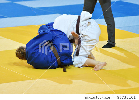 Girls compete in judo Girls compete in judo 89733101