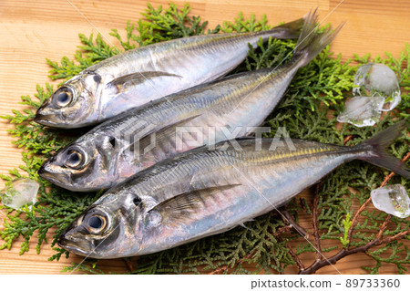 Horse mackerel	 89733360