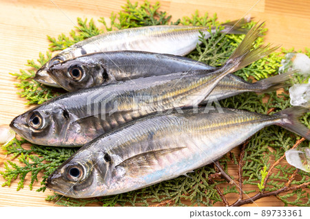 Horse mackerel	 89733361