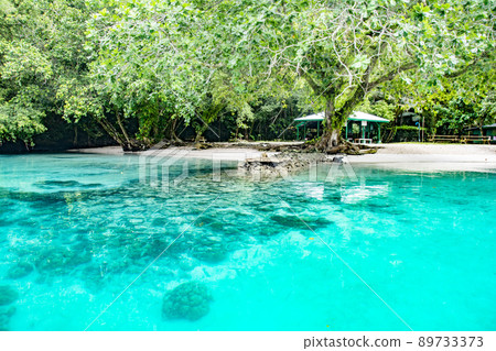 Palau Rock Island clear sea and white sand beach 89733373