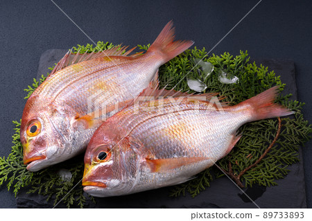 黃鯛魚 (Renko snapper) 黃鯛魚 (Renko snapper) 89733893