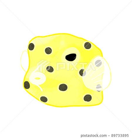 Minami Hakofugu hand-painted watercolor style illustration 89733895
