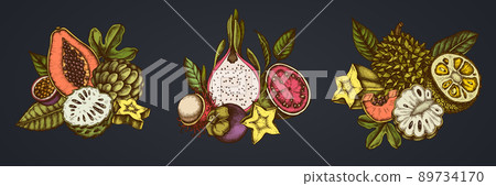 Composition design of colored papaya, guava, passion fruit, starfruit, durian, rambutan, pitaya Composition design of colored papaya, guava, passion fruit, starfruit, durian, rambutan, pitaya 89734170