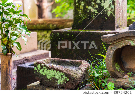 Mossy ancestral tombs 89734201