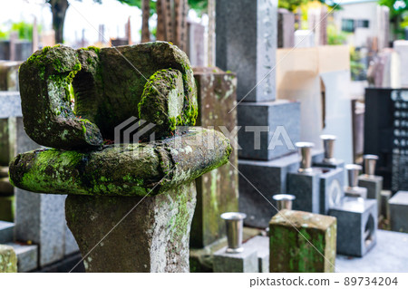 長滿苔蘚的祖墳 89734204