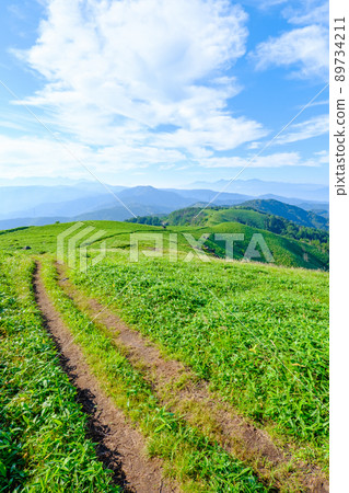 Shinshu Venus Line / Mt. Mitsumine trekking (view from the mountain trail toward Yatsugatake / Southern Alps) 89734211