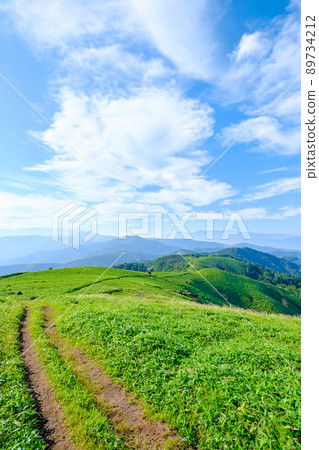 Shinshu Venus Line / Mt. Mitsumine trekking (view from the mountain trail toward Yatsugatake / Southern Alps) 89734212
