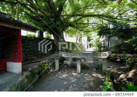 [鹿兒島] 黑神埋葬鳥居 89734404