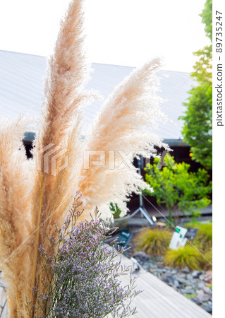 Life with plants Life with plants 89735247