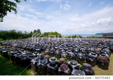 [Kagoshima] Black vinegar pot field (Fukuyama) 89735465