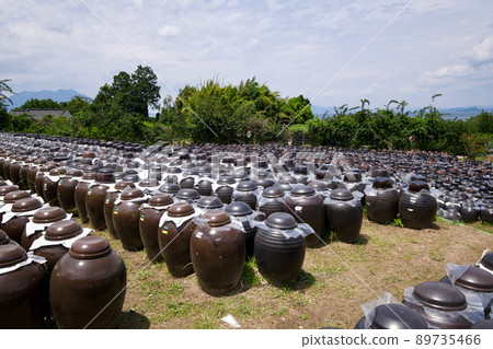 [Kagoshima] Black vinegar pot field (Fukuyama) 89735466