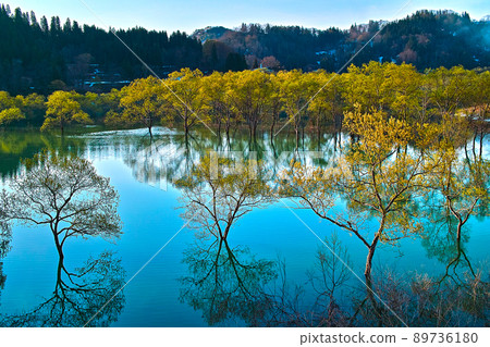 白河湖沈水林（山形縣） 89736180