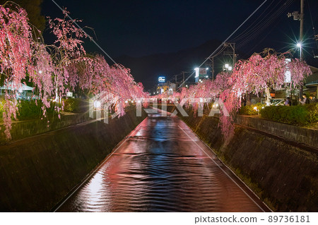 川鍋之夜櫻(山形縣天童市) 川鍋之夜櫻(山形縣天童市) 89736181