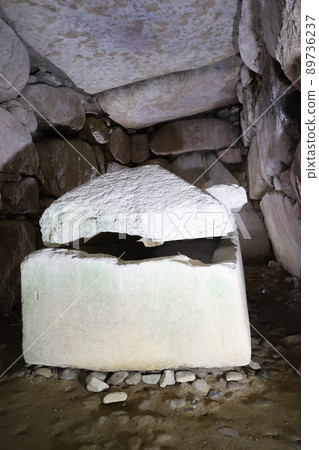 sarcophagus sarcophagus 89736237