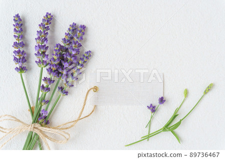 Lavender mini bouquet and message tag Lavender mini bouquet and message tag 89736467
