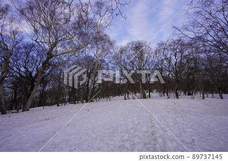 Mt. Foshan Mt. Foshan 89737145