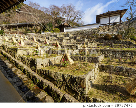 奈良寺的冷牡丹 奈良寺的冷牡丹 89737475