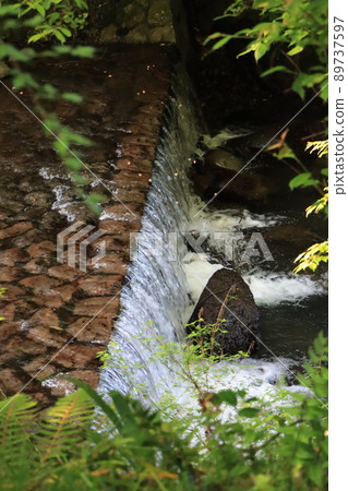 Insects fly in the Hinata River flowing through the Hinata Valley Insects fly in the Hinata River flowing through the Hinata Valley 89737597