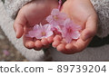 Children's hands and Sakura 89739204