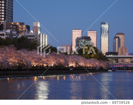 大阪天滿橋的夜景和春天的櫻花 大阪天滿橋的夜景和春天的櫻花 89739526